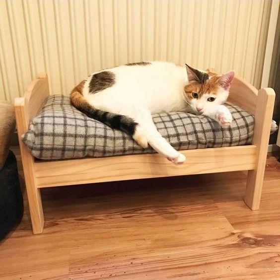 The Comfy Bed For Cat/Dog Pet Bed By Miza