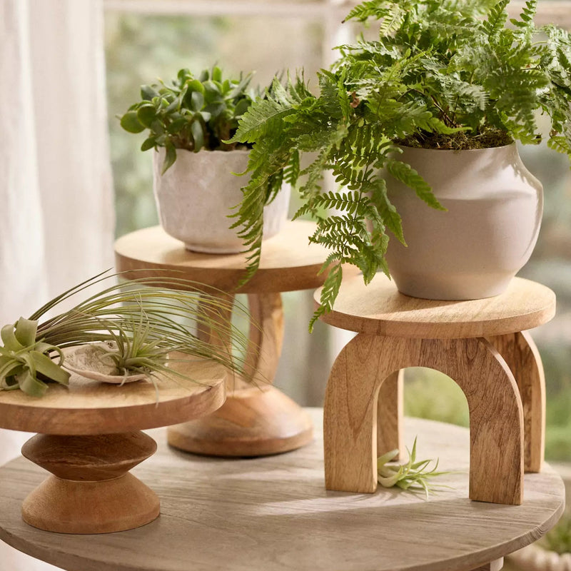 Wooden Plant Stand For Home By Miza