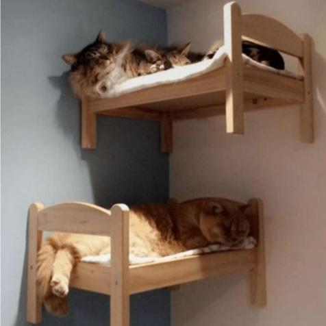 The Comfy Bed For Cat/Dog Pet Bed By Miza