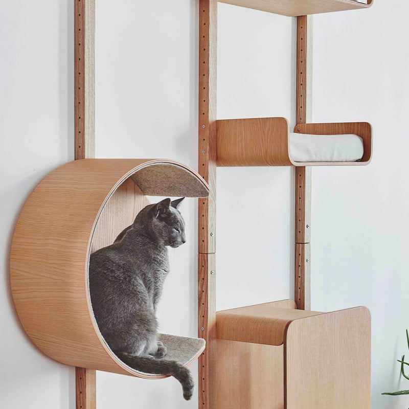 Shelf Climbing System of Cat By Miza