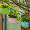 Capri Hanging Planter For Indoor Or Outdoor ( Multicolor ) By Harshdeep