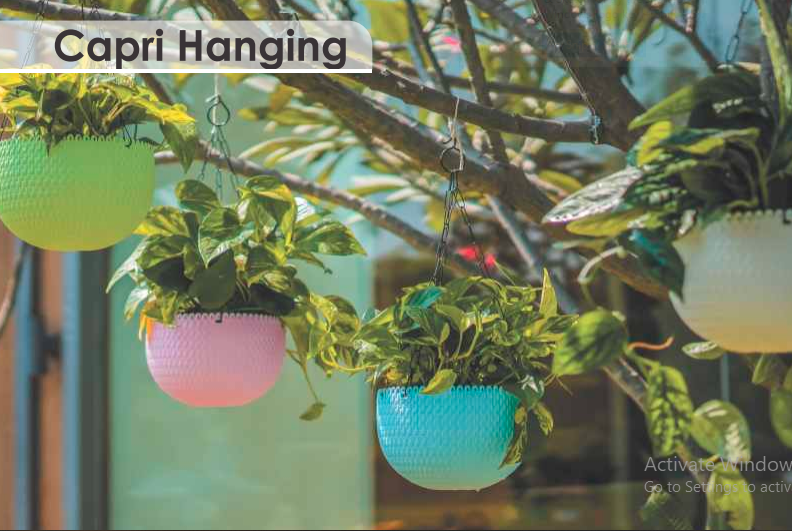 Capri Hanging Planter For Indoor Or Outdoor ( Multicolor ) By